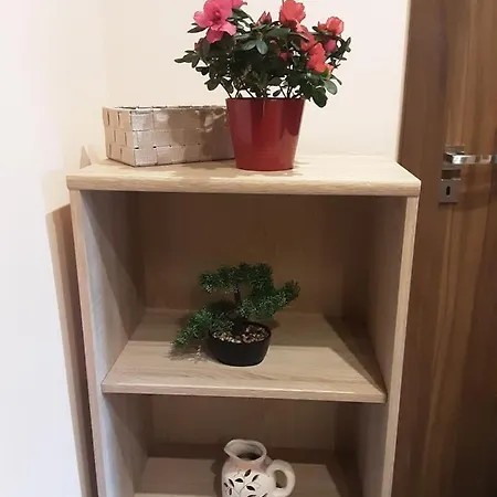 Academy Apartament Cieszyn (Silesia)