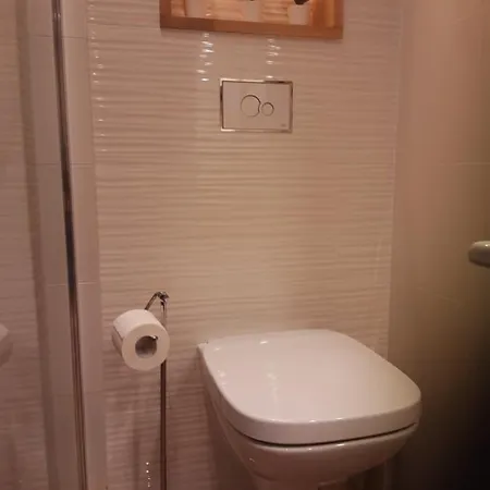 Academy Apartament Cieszyn (Silesia)