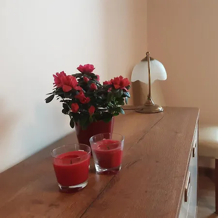 Academy Cieszyn (Silesia)