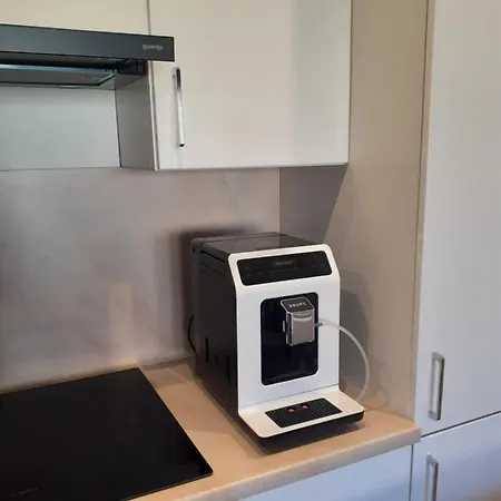 Academy Cieszyn Apartmán Těšín